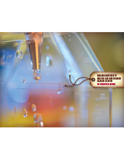 Cover image for IU Simon Comprehensive Cancer Center 2012 Scientific Report